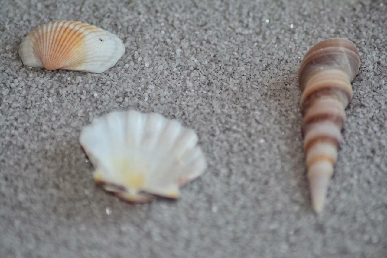 Apartment Nadoveza Tribalj エクステリア 写真